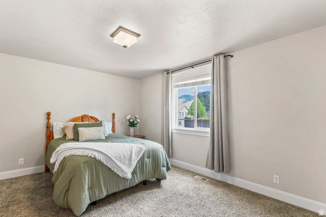 1372 North 1380th Street West Mapleton, UT 84664 - Photo 21 of 64