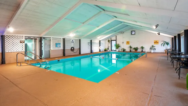 a view of a park with large trees