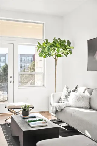 a living room with furniture and a potted plant