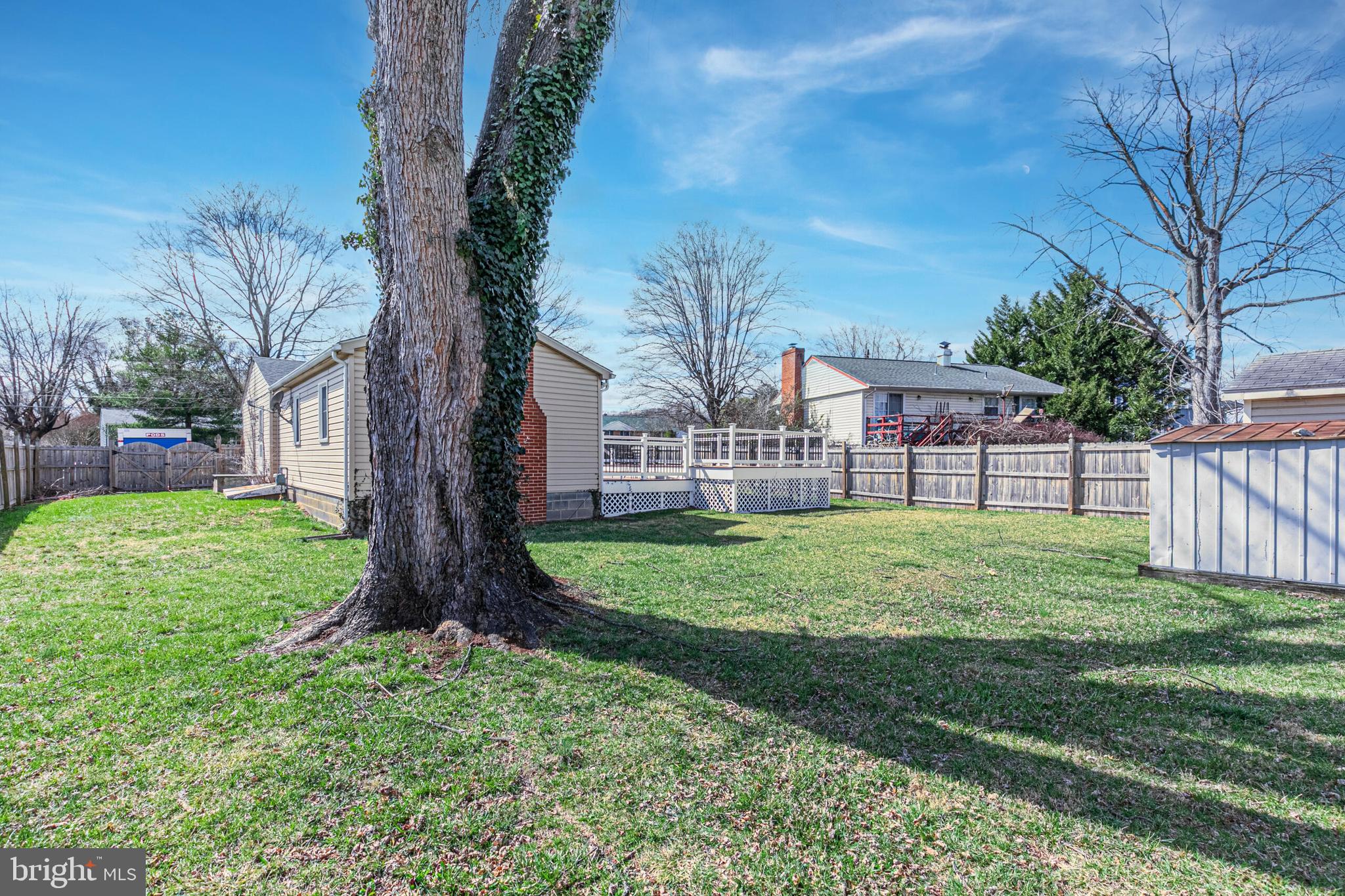 540 Eagle Place Winchester, VA 22601 - Photo 23 of 24 a view of a backyard with a tree