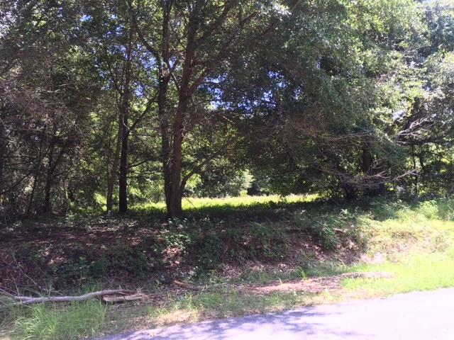 1440 Lieben Road Mount Pleasant, SC 29466 - Photo 1 of 19 Front View