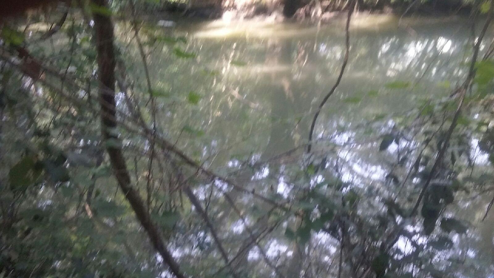 1440 Lieben Road Mount Pleasant, SC 29466 - Photo 14 of 19 Creek at High Tide