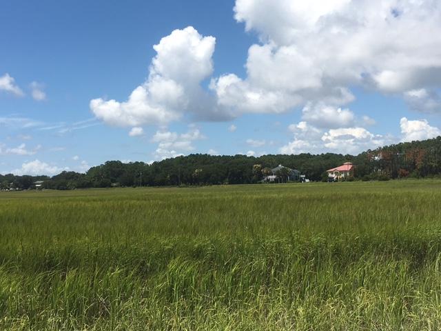 1440 Lieben Road Mount Pleasant, SC 29466 - Photo 18 of 19 Marsh View
