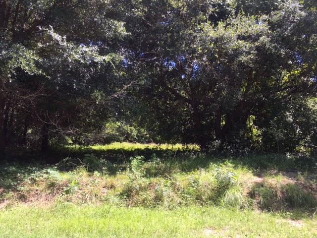 1440 Lieben Road Mount Pleasant, SC 29466 - Photo 6 of 19 Creekside