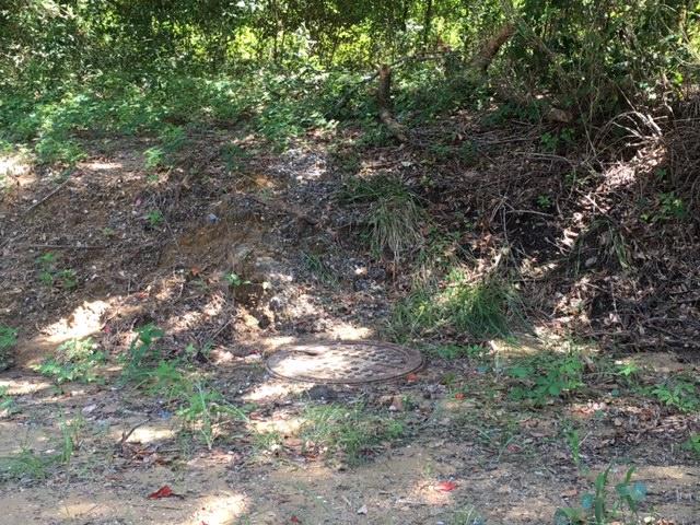 1440 Lieben Road Mount Pleasant, SC 29466 - Photo 8 of 19 Sewage Ready