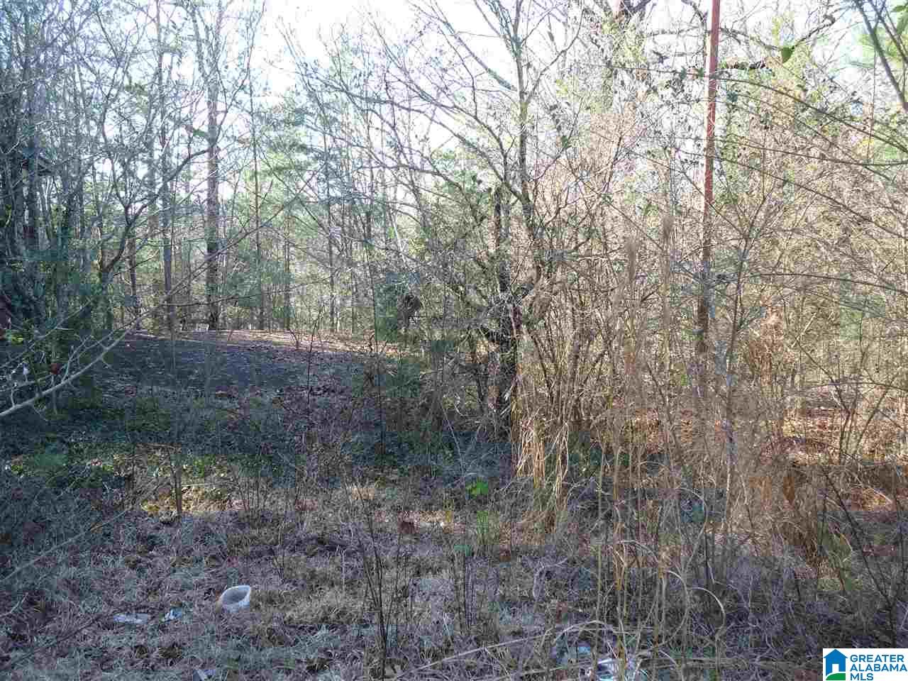 4401 Hicks Road, Unit 1 Pinson, AL 35126 - Photo 3 of 5