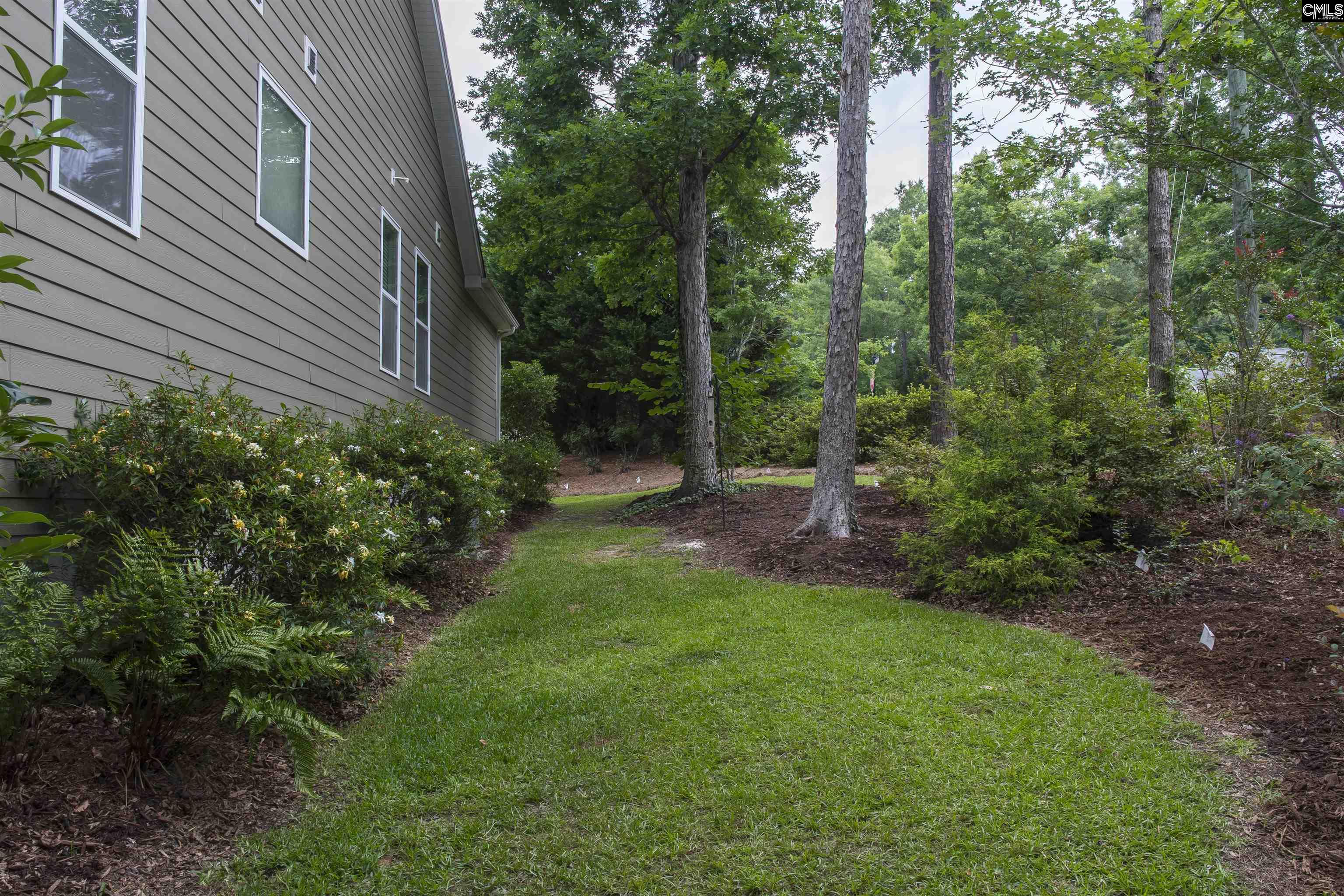 101 Woolbright Avenue Chapin, SC 29036 - Photo 50 of 61