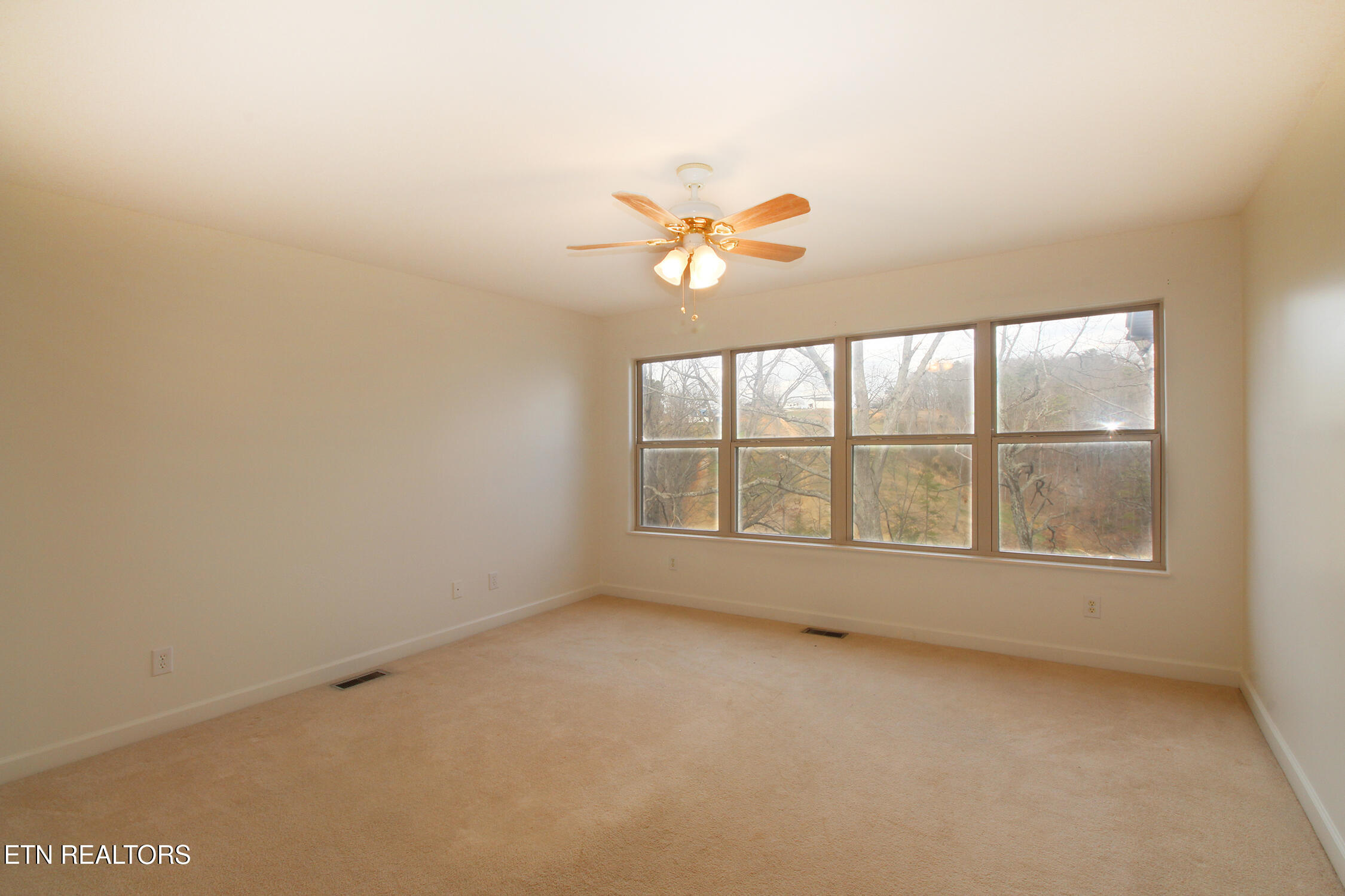 211 Sequoyah Trail Rutledge, TN 37861 - Photo 29 of 58 IMG_0119