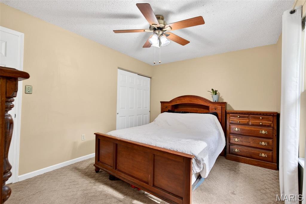 2673 Cathy Ann Drive High Ridge, MO 63049 - Photo 29 of 48