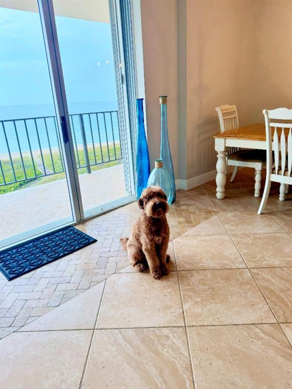 1900 South Ocean Boulevard, Unit 5F Pompano Beach, FL 33062 - Photo 15 of 23 a room with a mirror and a rug