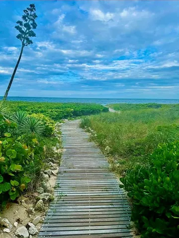 a view of a city with tall buildings