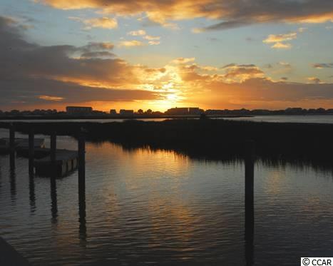 58 Fish Shack Alley Murrells Inlet, SC 29576 - Photo 39 of 39 Gallery Image 39