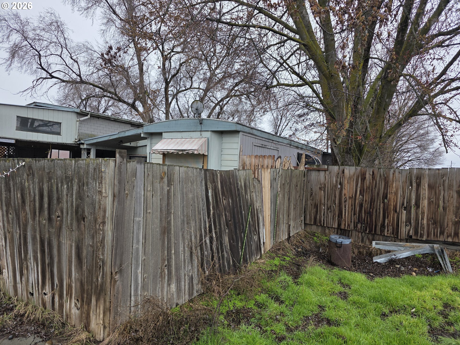 81876 Highway 395 Hermiston, OR 97838 - Photo 2 of 10 a view of a backyard with a trees
