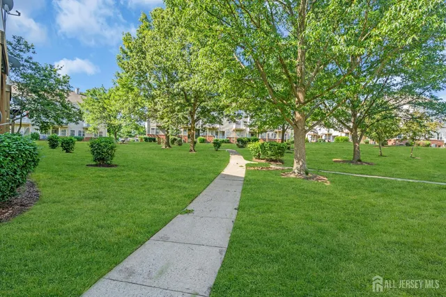 a huge green field with lots of trees