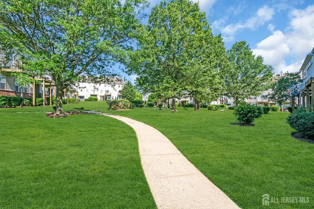a view of a park with large trees