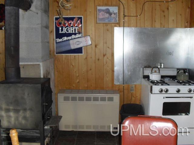 Tbd Country Lane Road Eben Junction, MI 49825 - Photo 12 of 21
