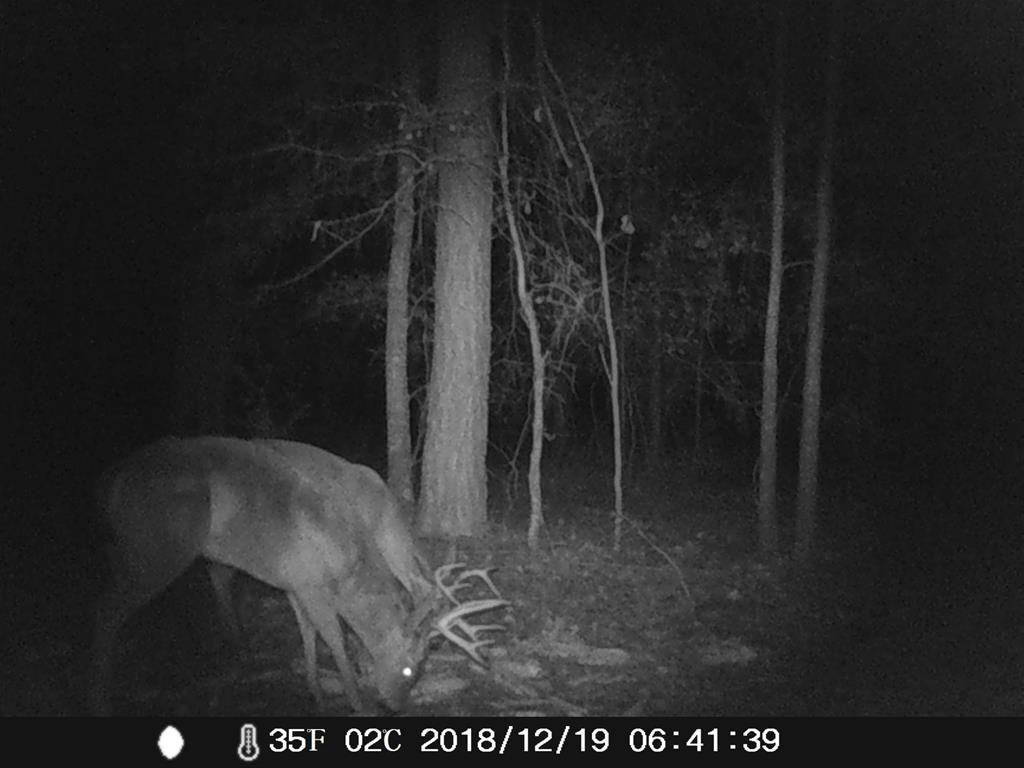 1634 Huttos Chapel Road Olar, SC 29843 - Photo 28 of 32