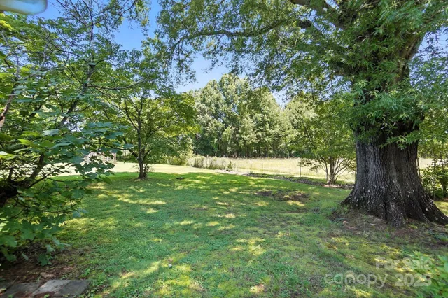 a view of green field