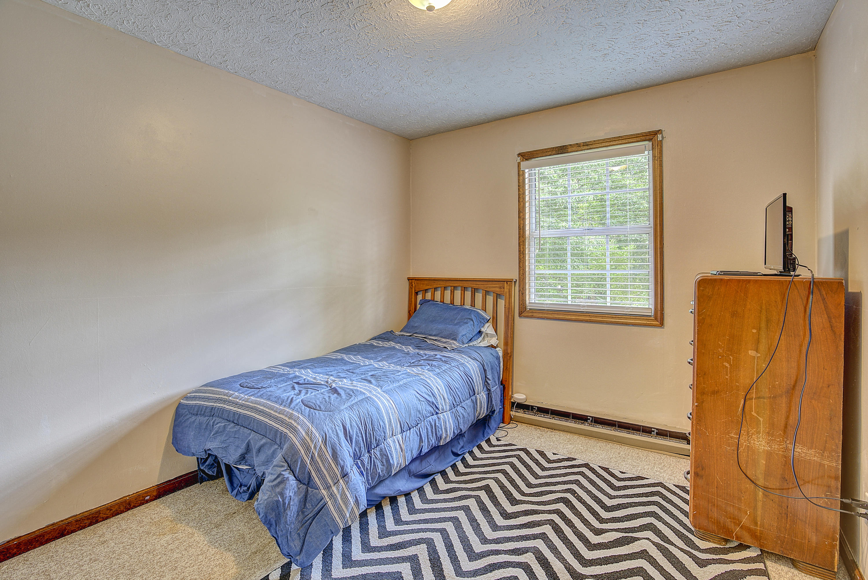 278 Big Springs Road Elizabethton, TN 37643 - Photo 11 of 36 BigS--6
