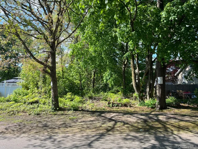 a view of a backyard with trees