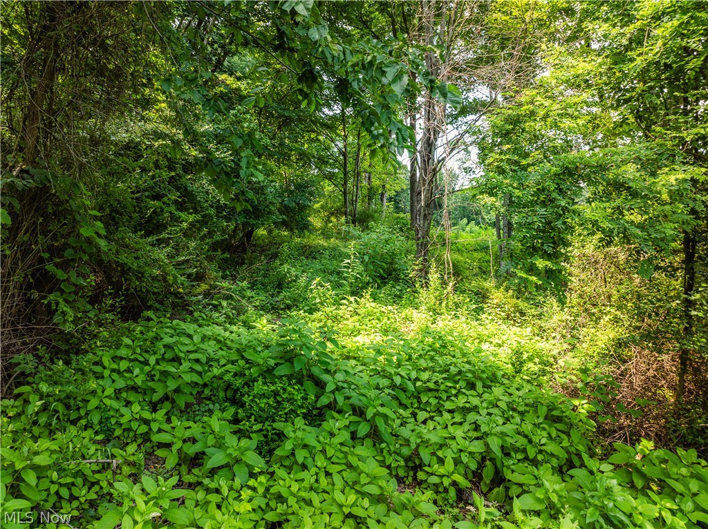 85 Township Road Baltic, OH 43804 - Photo 44 of 48