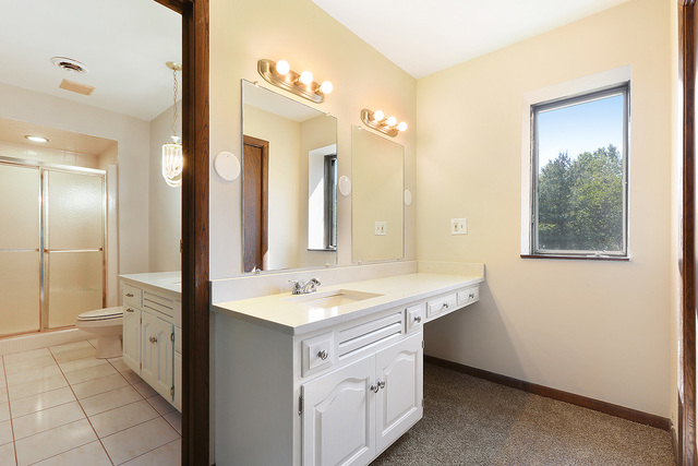 3033 East Hickory Lane Crete, IL 60417 - Photo 12 of 18 a bathroom with a sink and a mirror