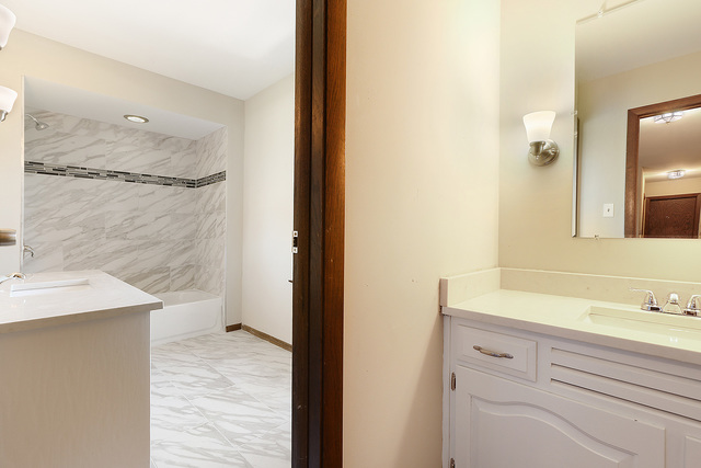 3033 East Hickory Lane Crete, IL 60417 - Photo 10 of 18 a bathroom with a sink and a mirror