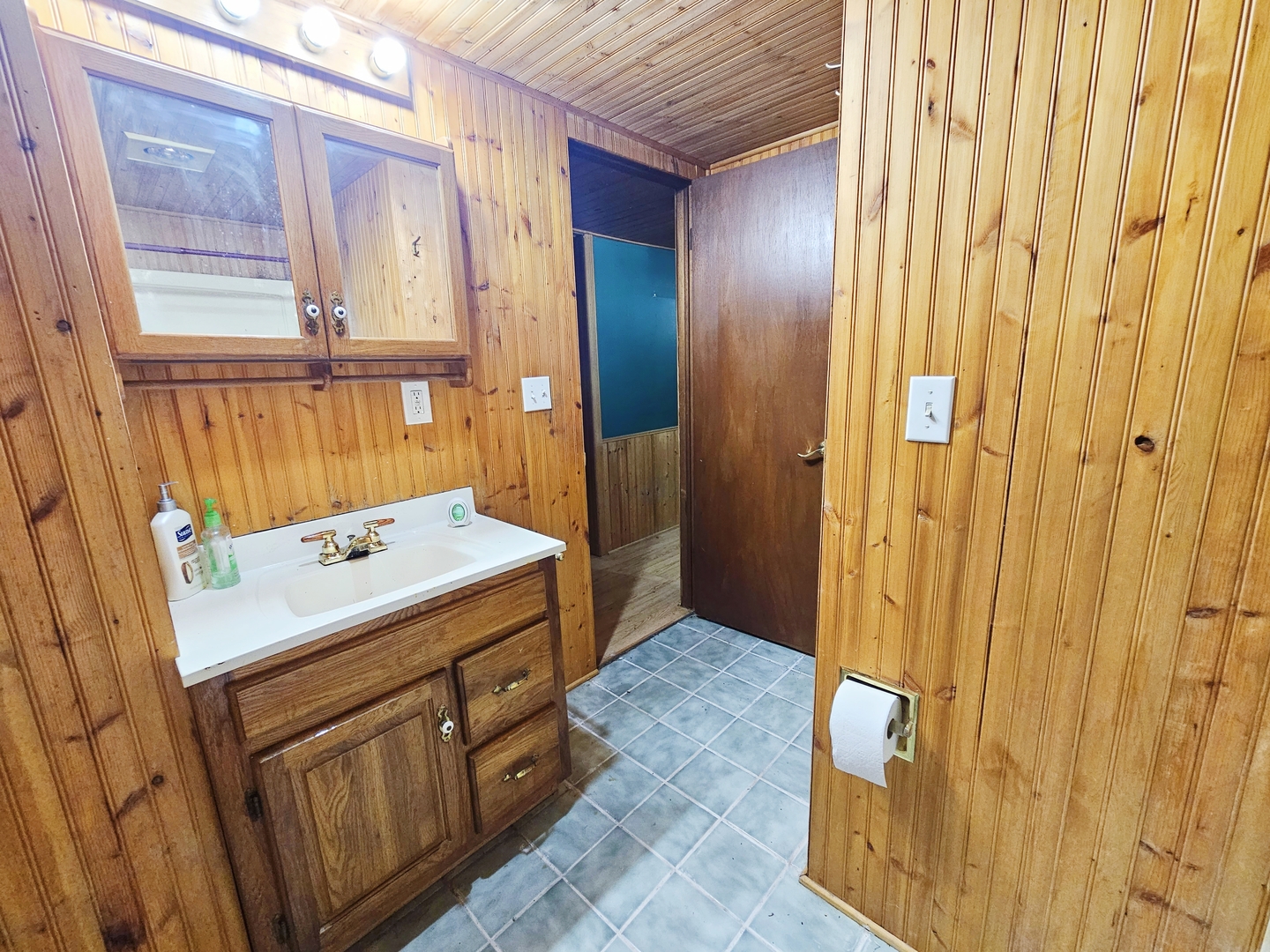 16710 Browns Road Morrison, IL 61270 - Photo 22 of 39 a bathroom with a sink a mirror and a shower