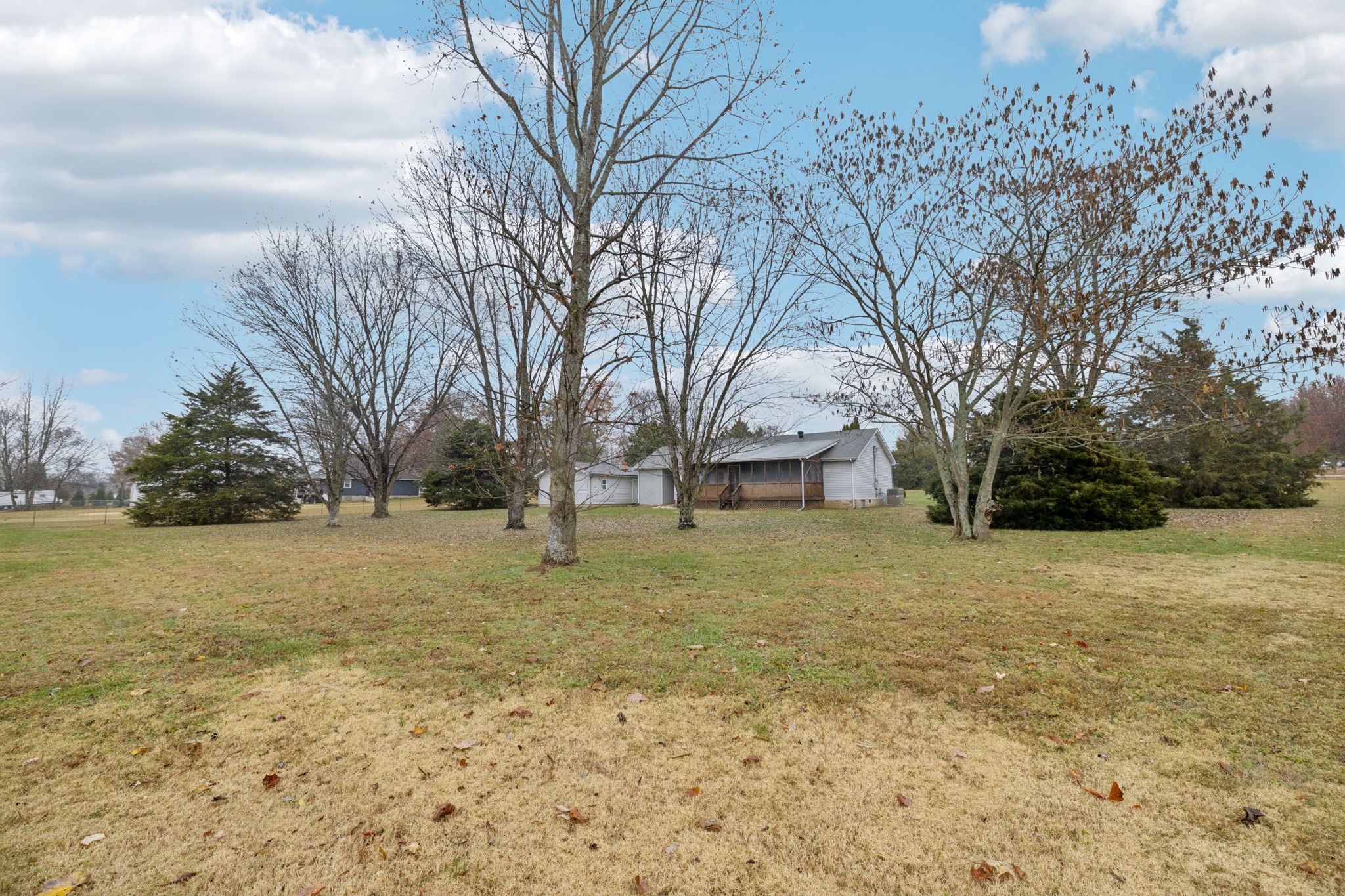 3328 Beckwith Road Mount Juliet, TN 37122 - Photo 18 of 18 a big yard with trees