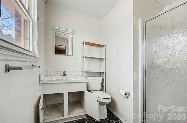 a bathroom with a sink toilet and mirror