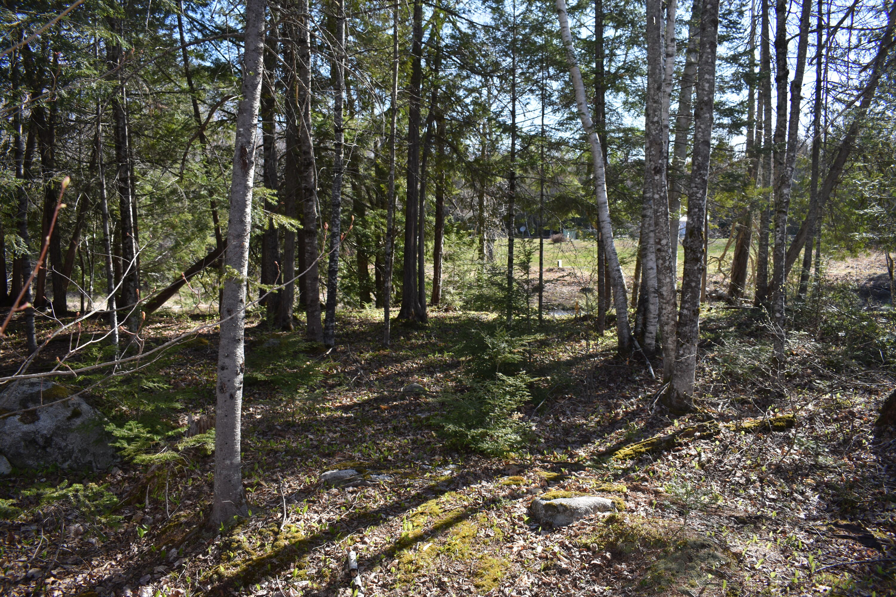 15 Loop Road Lincoln, ME 04457 - Photo 38 of 51 DSC_0124