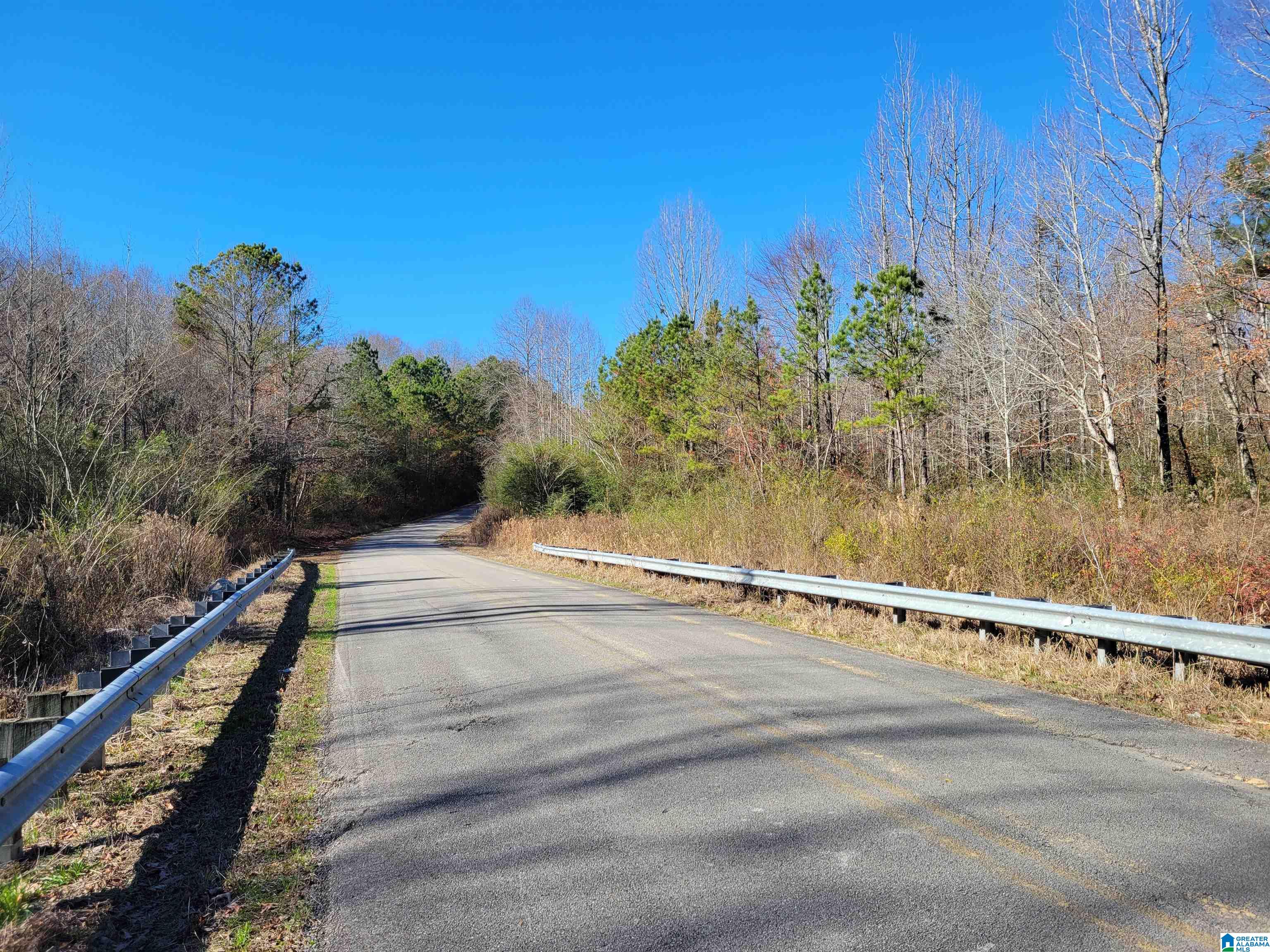 2194 County Road 818 Logan, AL 35098 - Photo 7 of 8