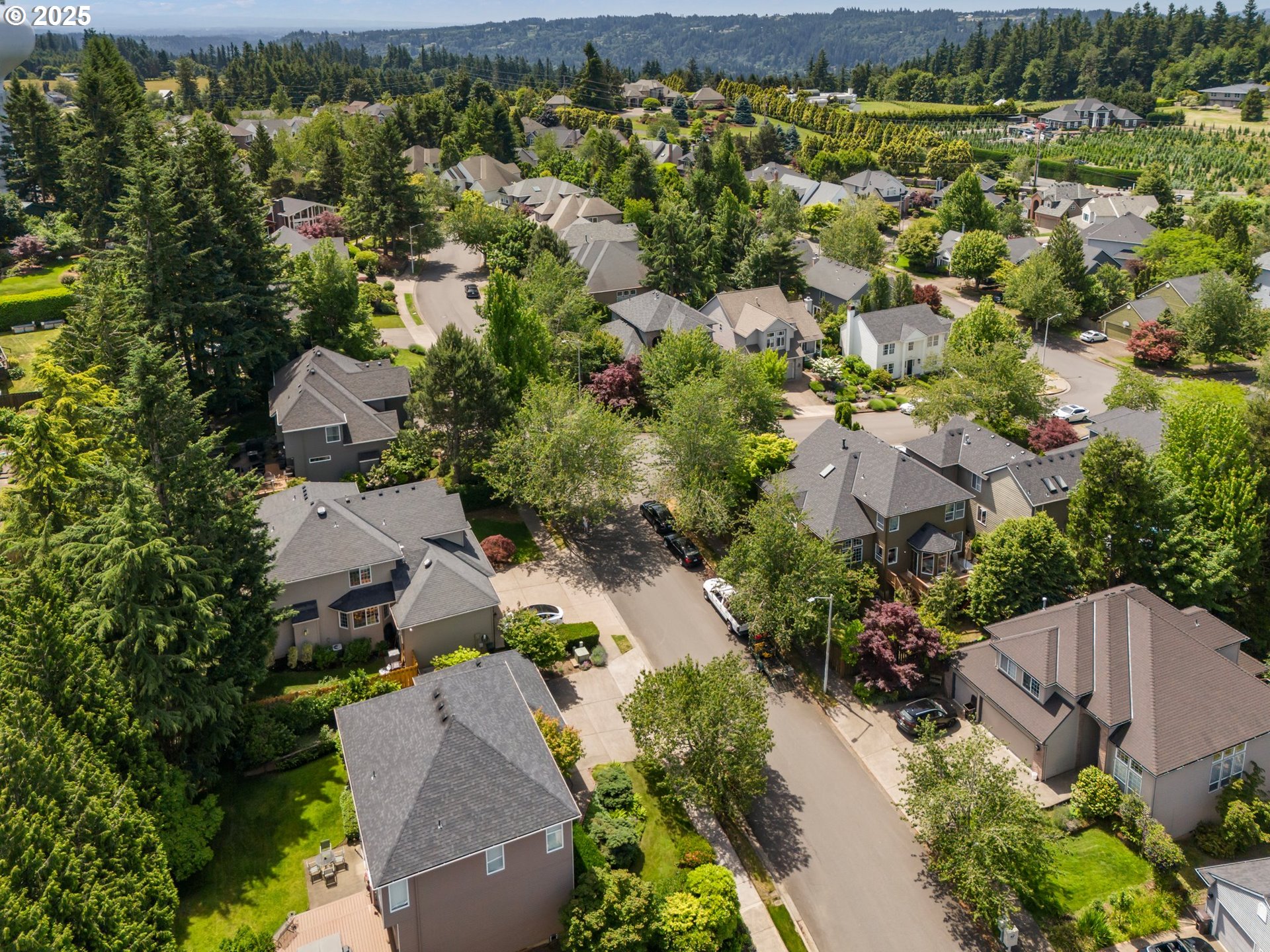 19720 Spring Ridge Drive West Linn, OR 97068 - Photo 40 of 44 Drone View/UAV