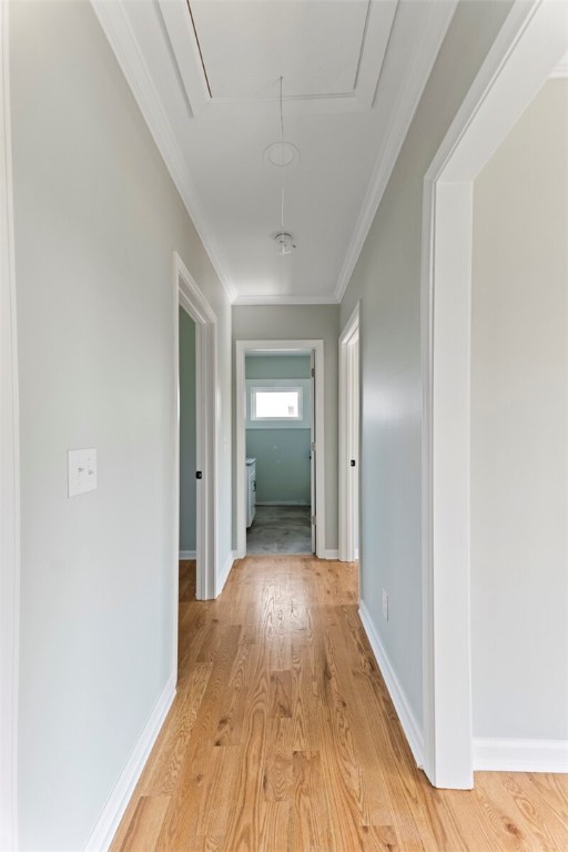 367 McClure Road Seneca, SC 29678 - Photo 29 of 49 Gallery Image 29