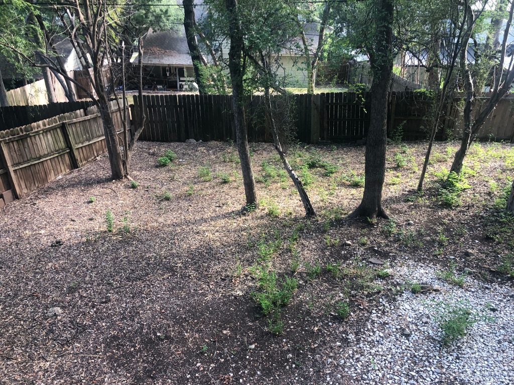 3308 Dunliegh Drive, Unit A Austin, TX 78745 - Photo 10 of 10 a view of a park