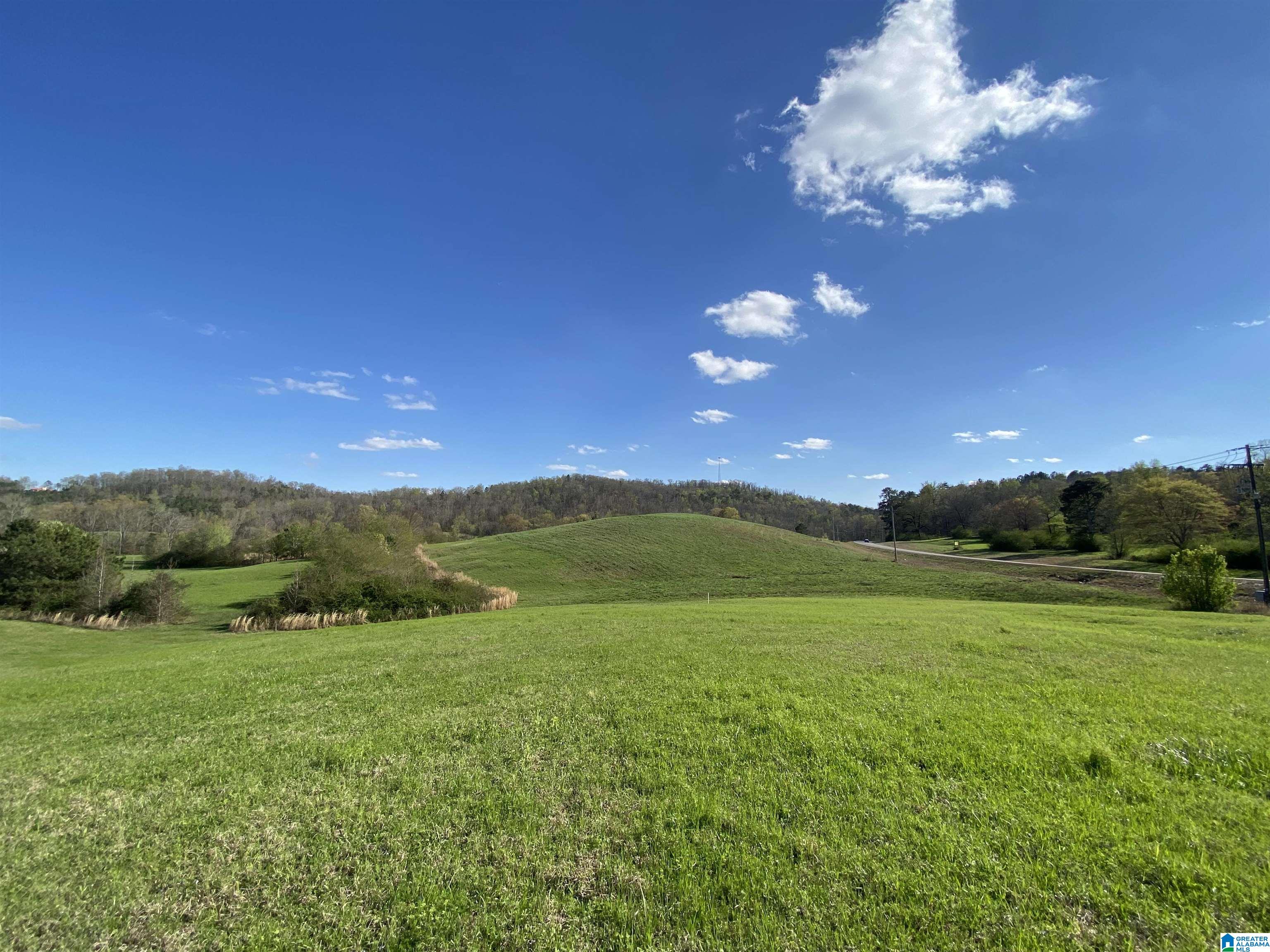 6405 Highway 174, Unit TRACT 2 Springville, AL 35146 - Photo 2 of 14