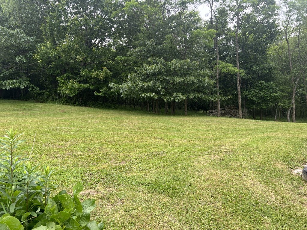 758 Cline Road Rural Retreat, VA 24368 - Photo 22 of 27 Gallery Image 22