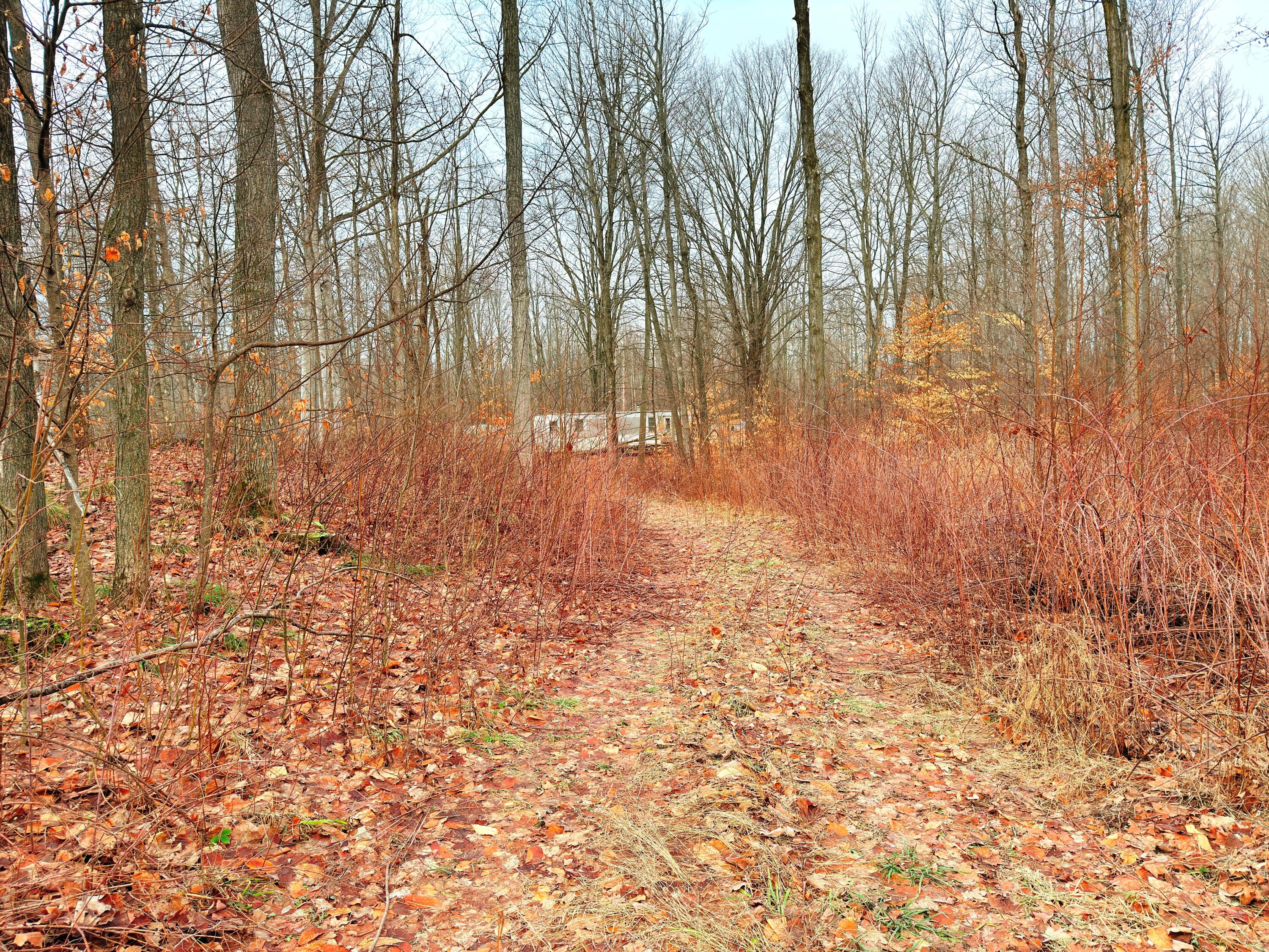 13578 15 Mile Road Leroy, MI 49655 - Photo 1 of 8 IMG_0295