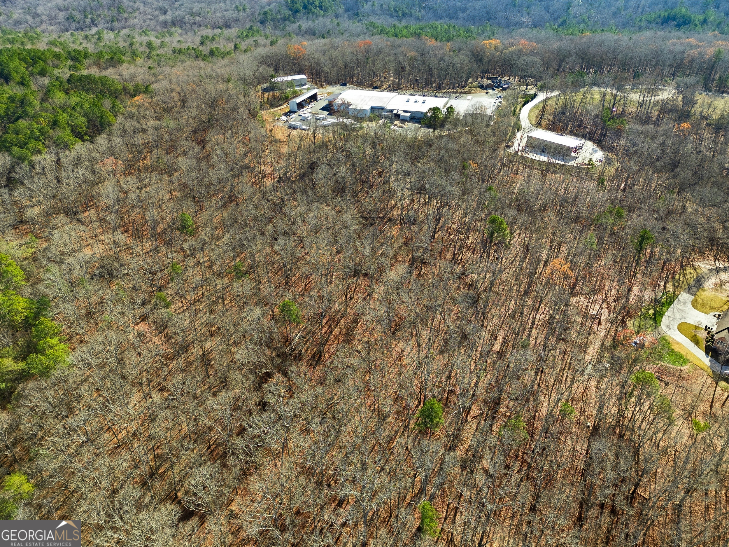 209 Hogan Pond Lane Ball Ground, GA 30107 - Photo 4 of 6 a view of a lake with outdoor space