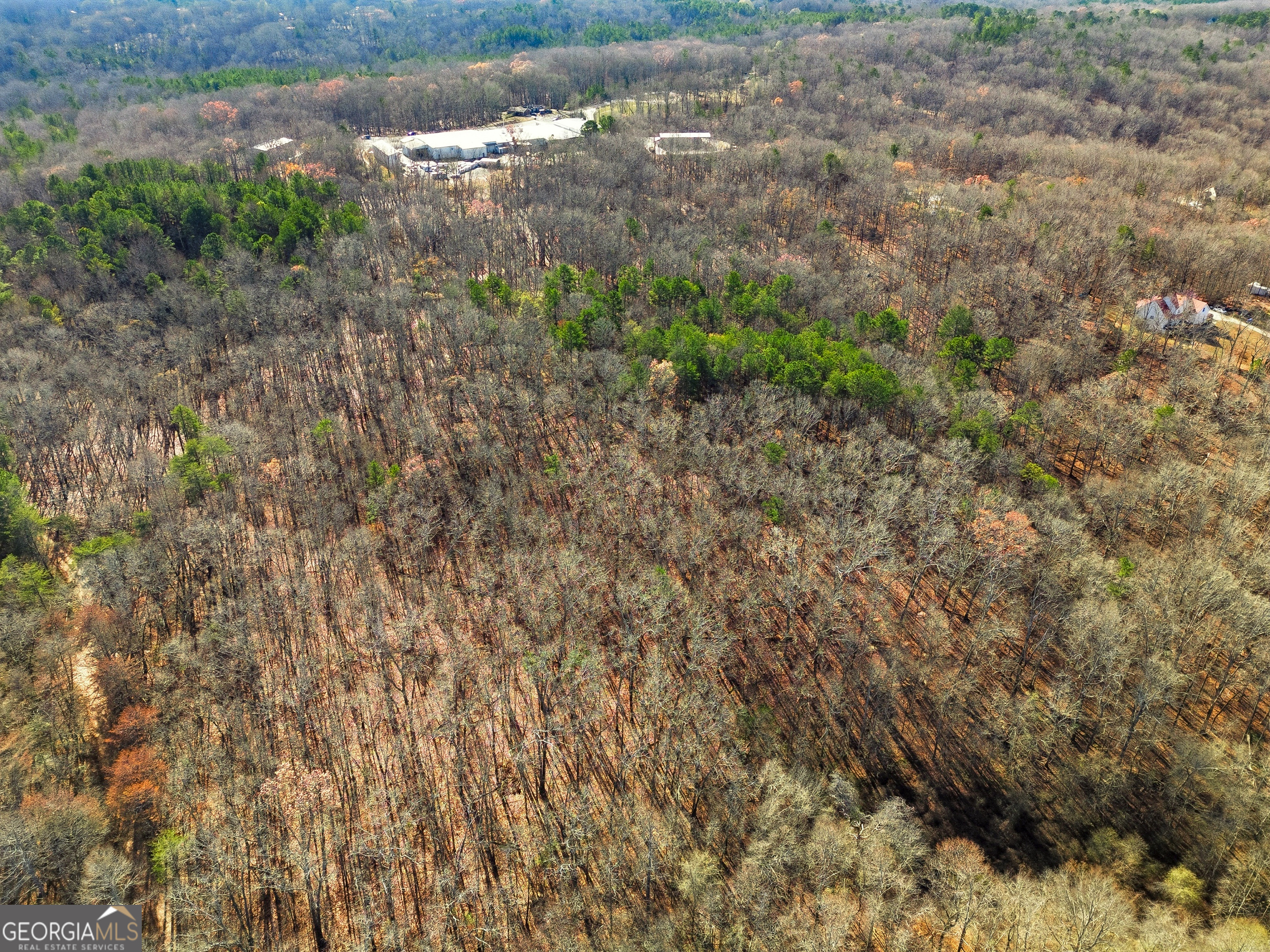 209 Hogan Pond Lane Ball Ground, GA 30107 - Photo 6 of 6 a view of a lake with large trees
