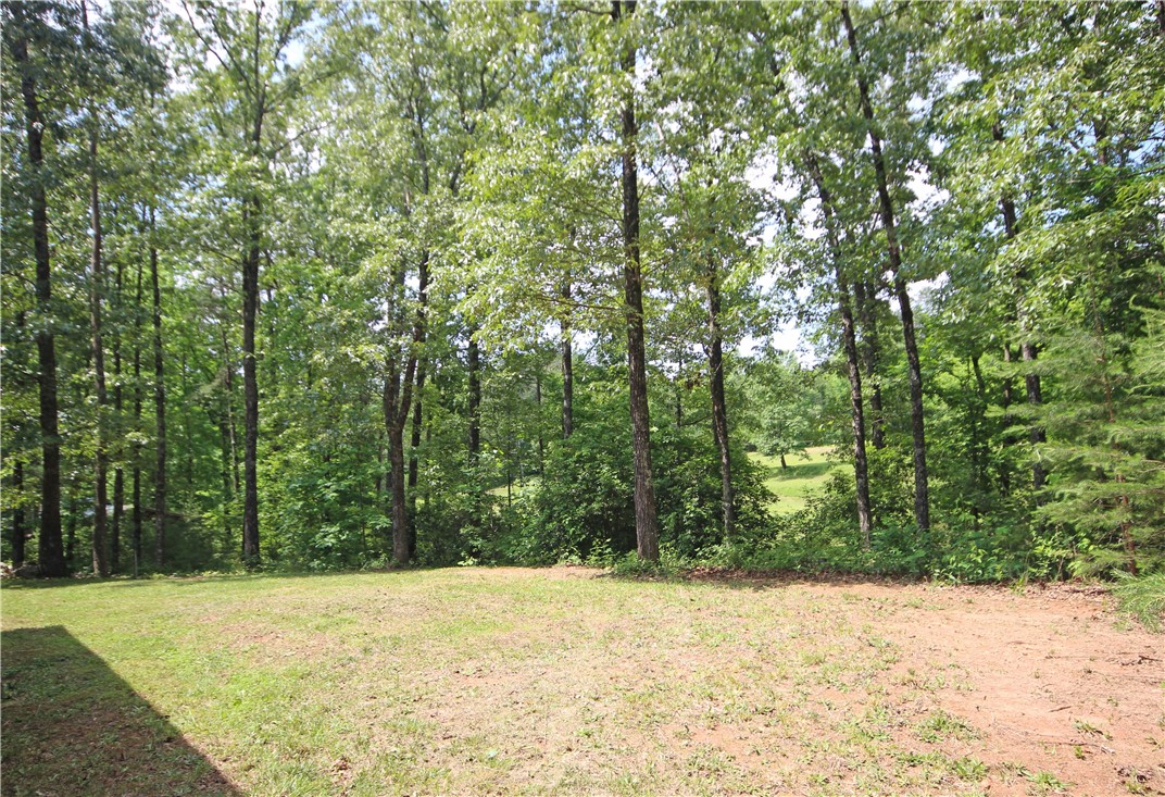174 Saluda Hill Road Pickens, SC 29671 - Photo 4 of 27