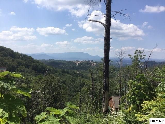0 Windy Lane Sevierville, TN 37876 - Photo 5 of 5