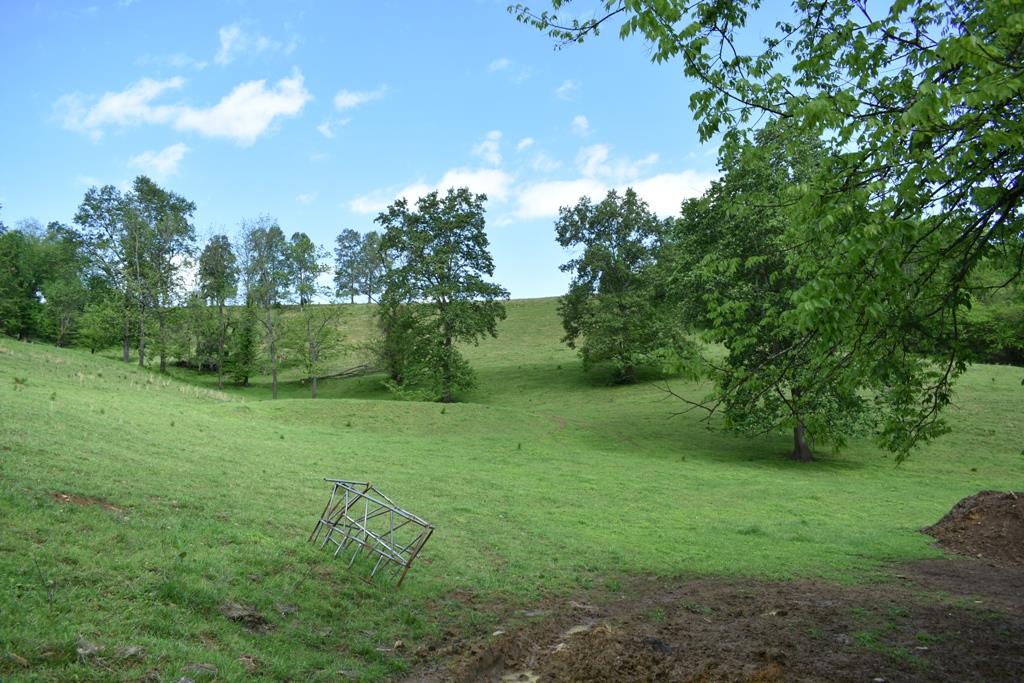 626 Halls Branch Road Pleasant Shade, TN 37145 - Photo 11 of 12 Gallery Image 11