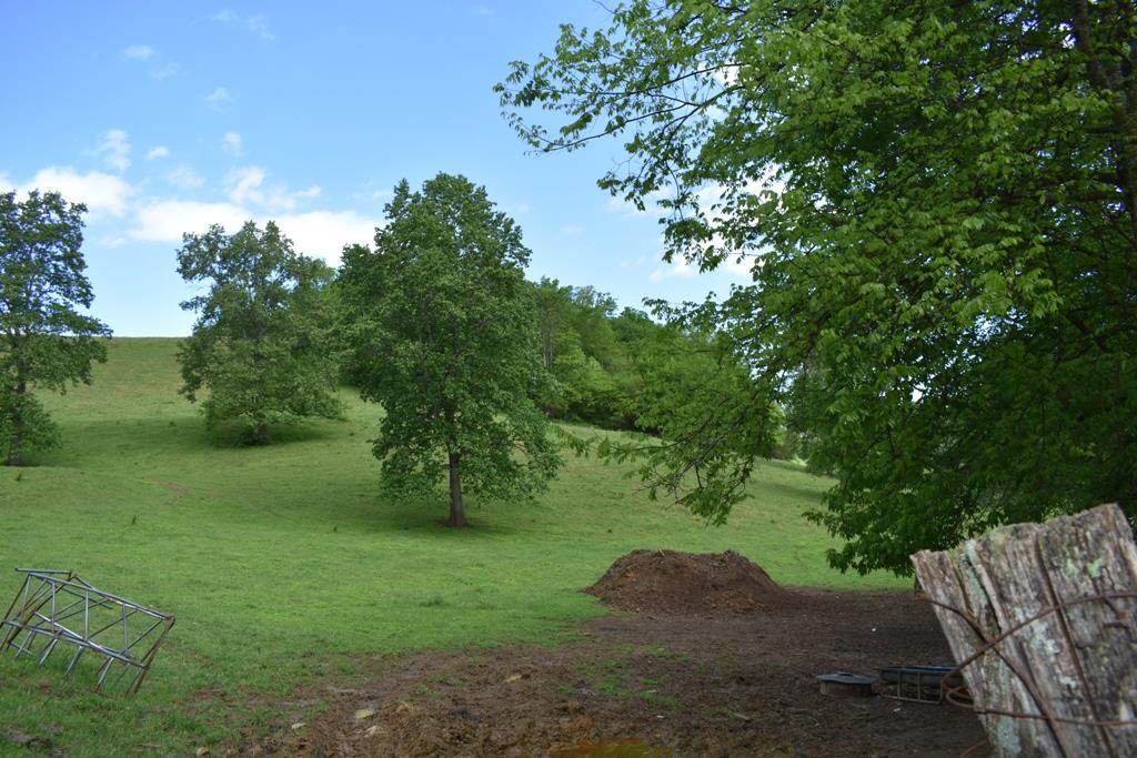 626 Halls Branch Road Pleasant Shade, TN 37145 - Photo 12 of 12 Gallery Image 12