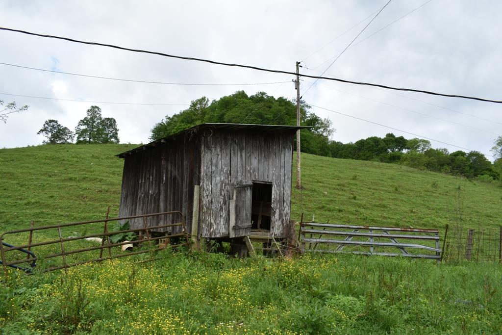 626 Halls Branch Road Pleasant Shade, TN 37145 - Photo 7 of 12 Gallery Image 7