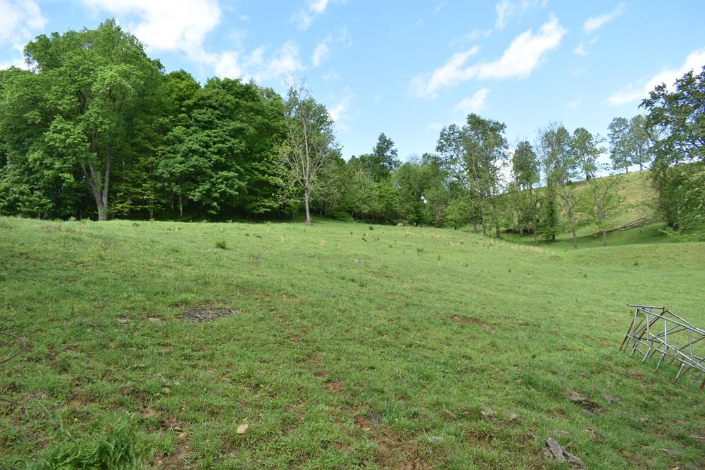 626 Halls Branch Road Pleasant Shade, TN 37145 - Photo 10 of 12 Gallery Image 10