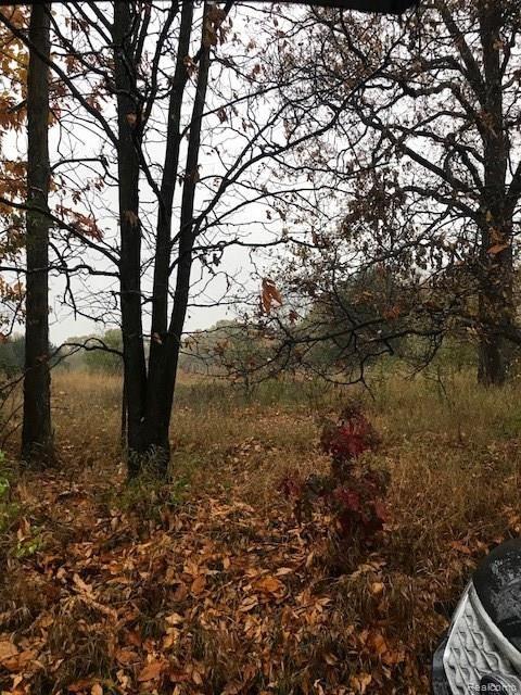 Vl 5-acres Southwest Vl 5-acres Sw Barron Road Howell, MI 48855 - Photo 1 of 14