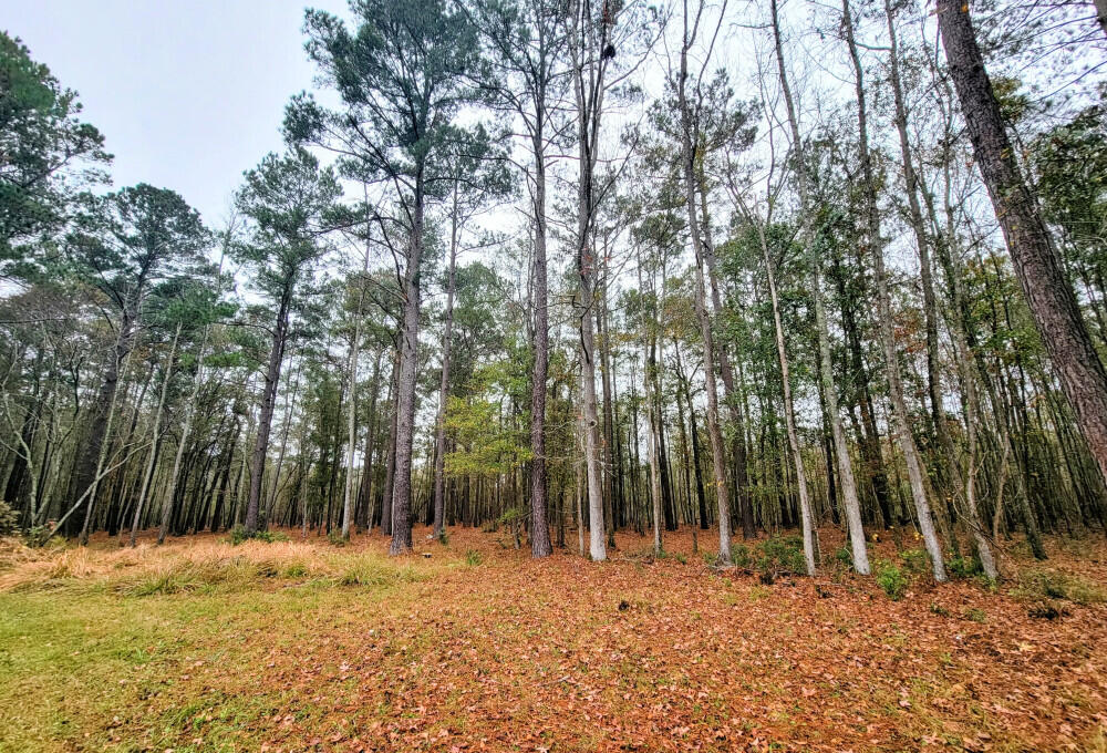 225 First Texas Road St. George, SC 29477 - Photo 24 of 25 24