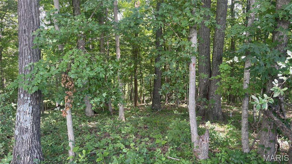 920 South Poplar Camp Road Makanda, IL 62958 - Photo 28 of 53