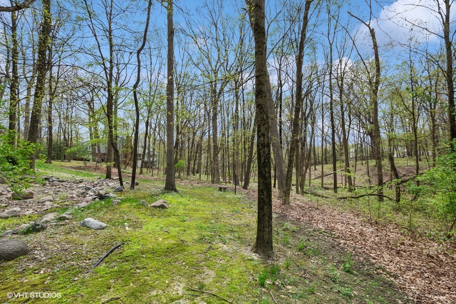 821 Chatfield Road New Lenox, IL 60451 - Photo 66 of 68 Gallery Image 66